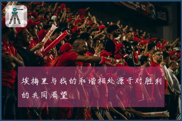 埃梅里与我的和谐相处源于对胜利的共同渴望